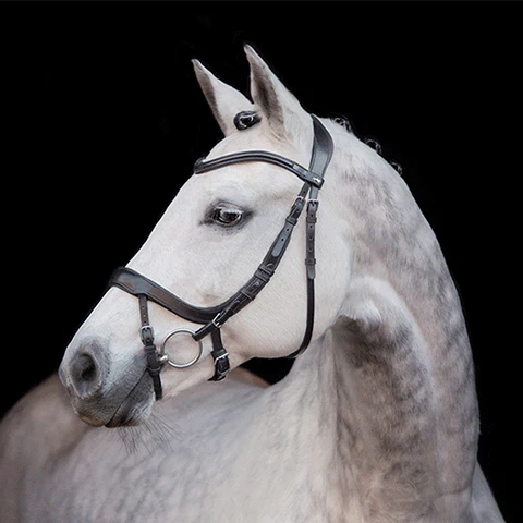 Choosing The Right Bridle For Your Horse – R & R Country Blog