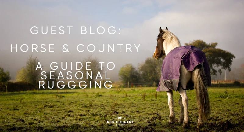 Horse Rugging Guide: What Horse Rug Size, Weight & Type Do You Need?