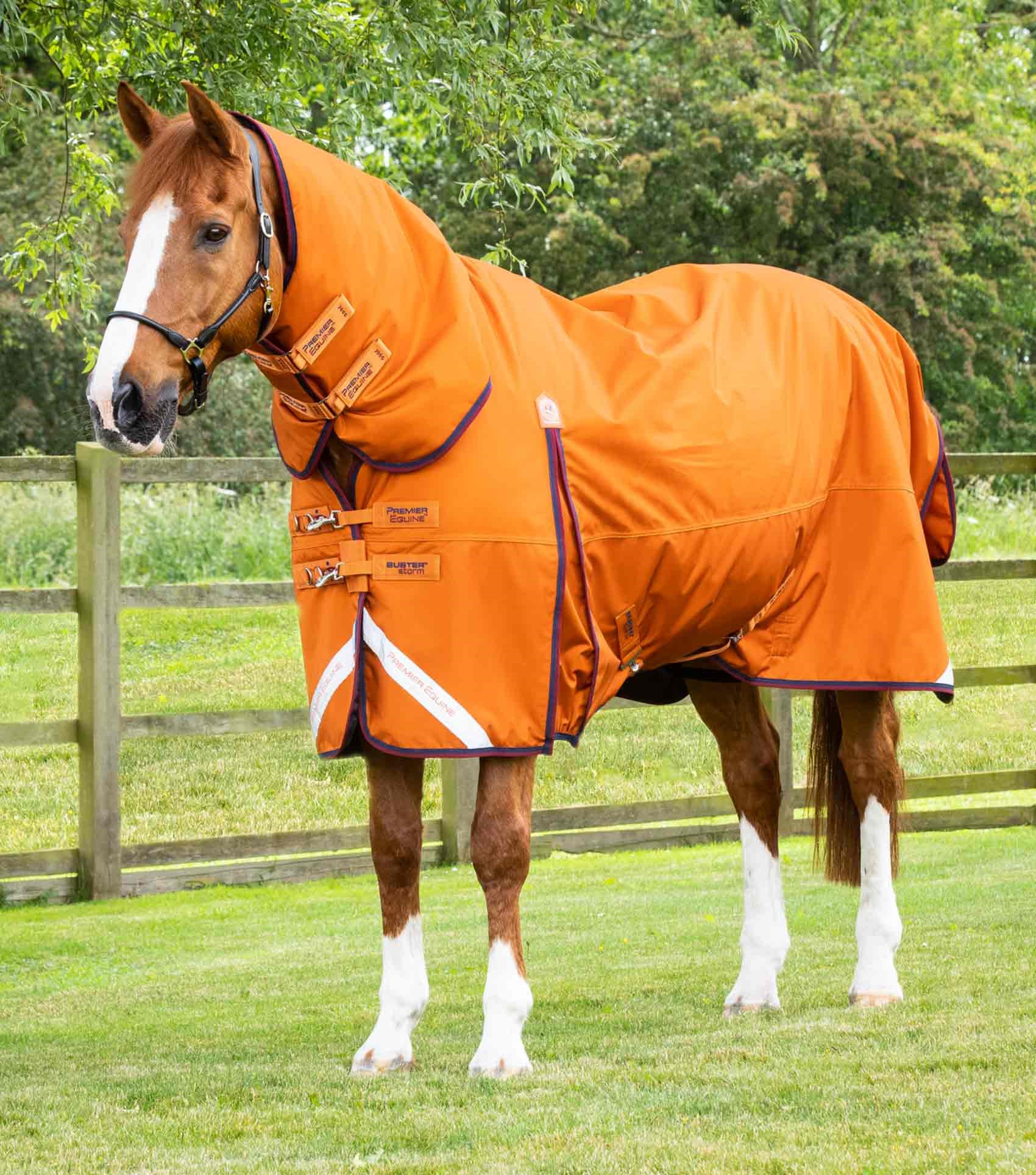 To Rug Or Not To Rug: A Guide On Horse Rug Weights – R & R Country Blog