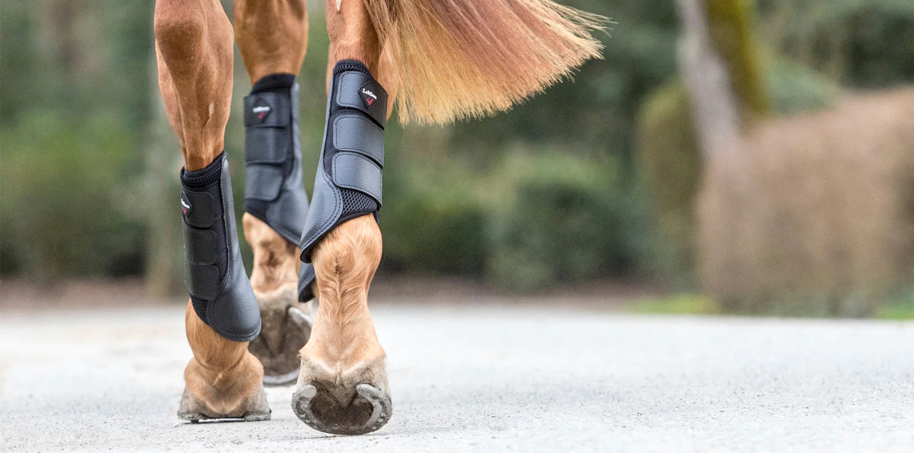How to put on tendon boots by Team Horsemart